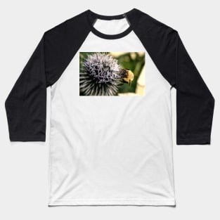 Small Globe Thistle With Bee 9 Baseball T-Shirt